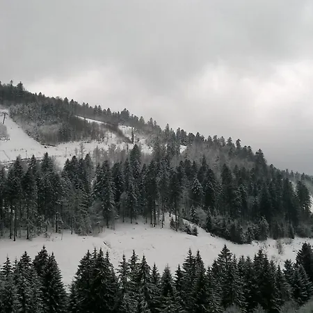 Le Chitelet Rouge, Pied De Pistes Hohneck * La Bresse